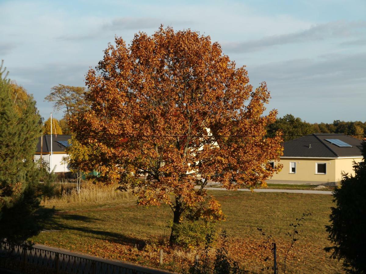 Ferienwohnung Im Neubauernweg 3 Hoppegarten Exterior foto